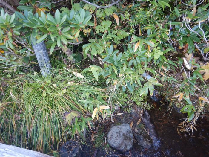 f:id:k9352009:20210928231451j:plain