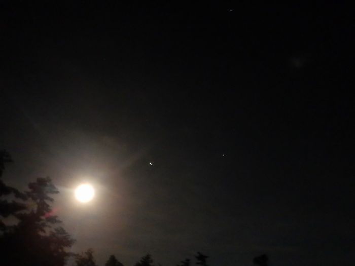 f:id:k9352009:20210928233823j:plain