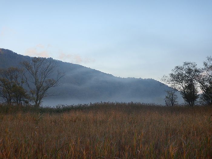 f:id:k9352009:20211012090701j:plain