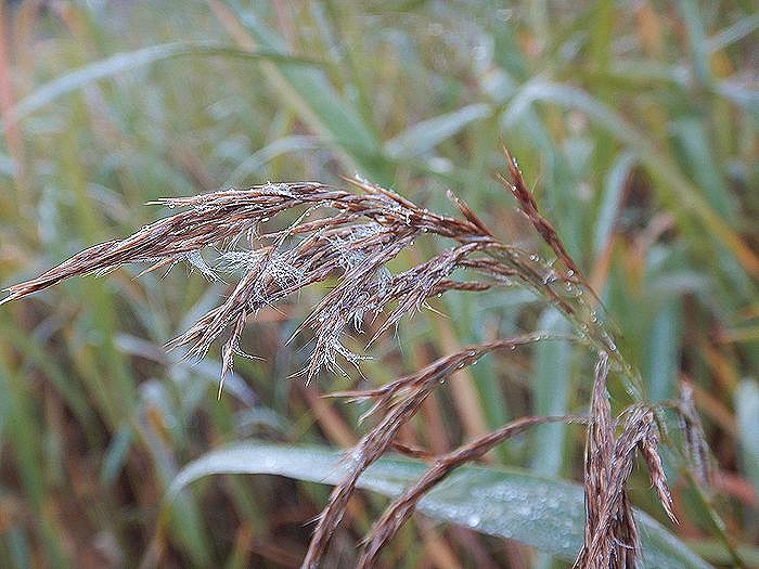 f:id:k9352009:20211012091214j:plain