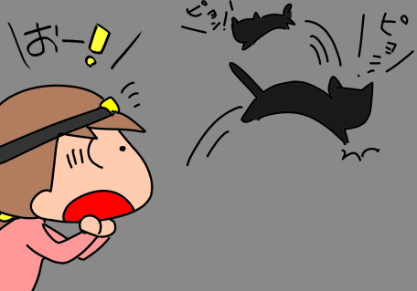 f:id:k9352009:20211012105928p:plain