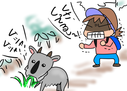 f:id:k9352009:20211027120648p:plain