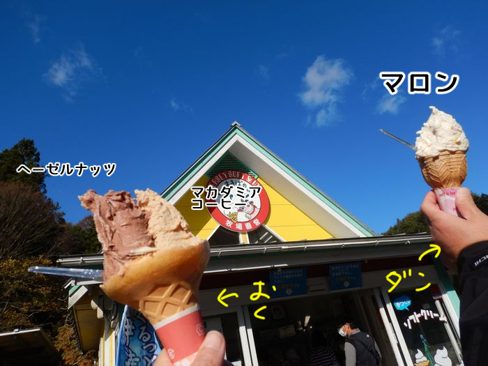 f:id:k9352009:20211110121540j:plain