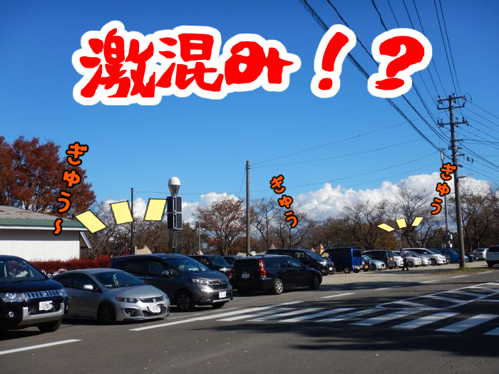 f:id:k9352009:20211111090520j:plain