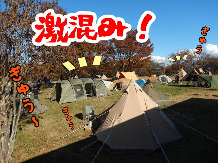 f:id:k9352009:20211111090840j:plain