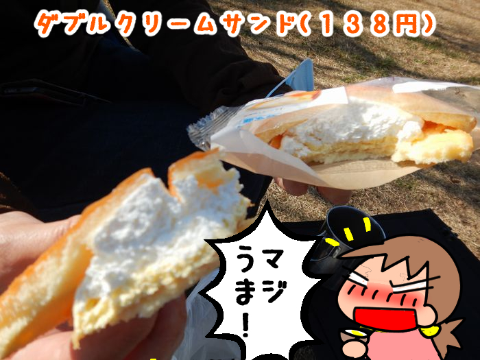 f:id:k9352009:20211111094904j:plain