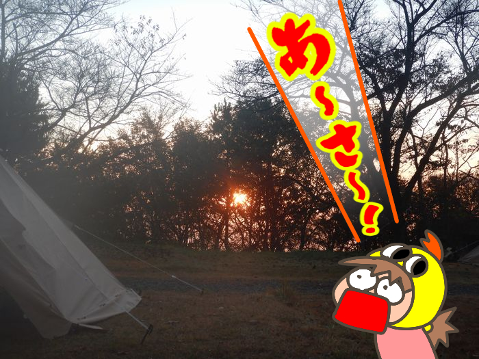 f:id:k9352009:20211115084107j:plain