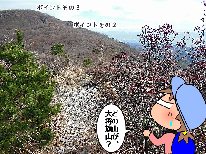 f:id:k9352009:20211118101602j:plain
