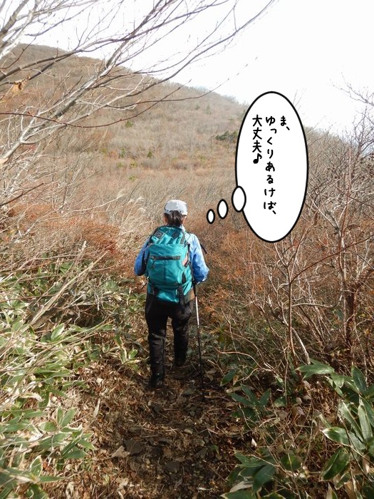 f:id:k9352009:20211118103741j:plain