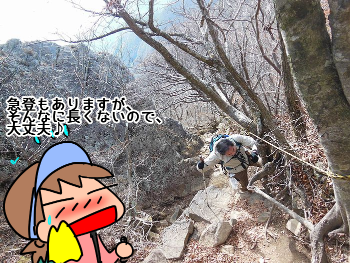 f:id:k9352009:20211118104907j:plain