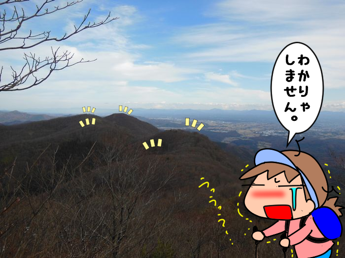 f:id:k9352009:20211118113452j:plain