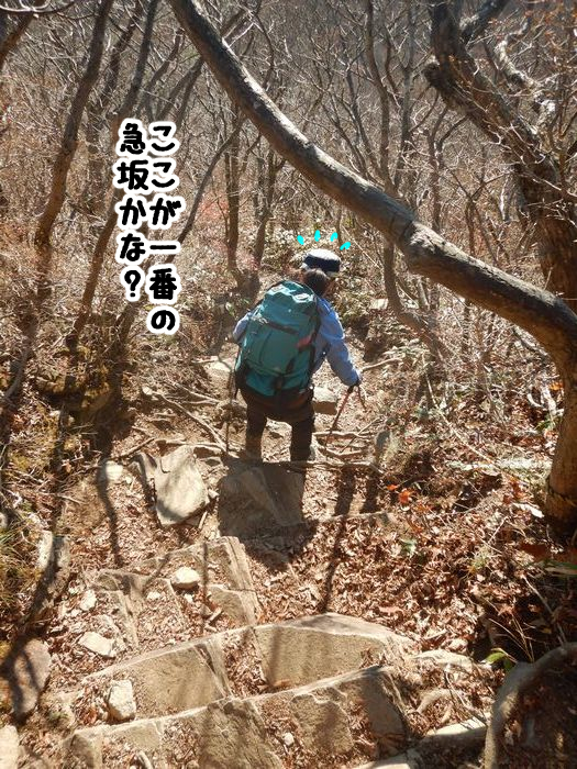 f:id:k9352009:20211119093941j:plain
