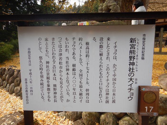 f:id:k9352009:20211125104041j:plain