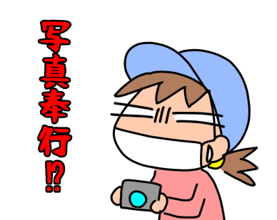 f:id:k9352009:20211125115752p:plain