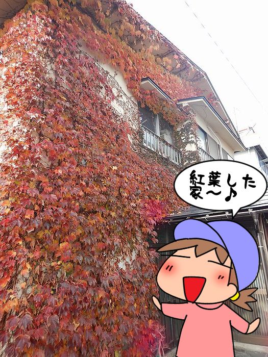 f:id:k9352009:20211126091024j:plain