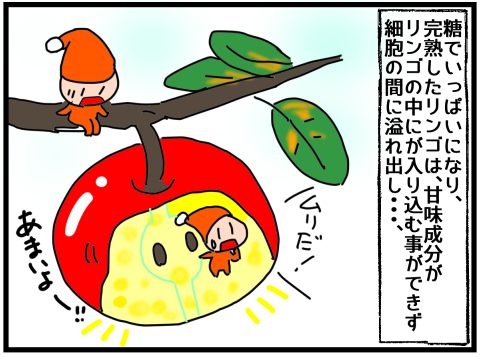 f:id:k9352009:20211202124423p:plain