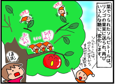 f:id:k9352009:20211202145003p:plain