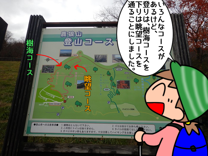 f:id:k9352009:20211209120056j:plain