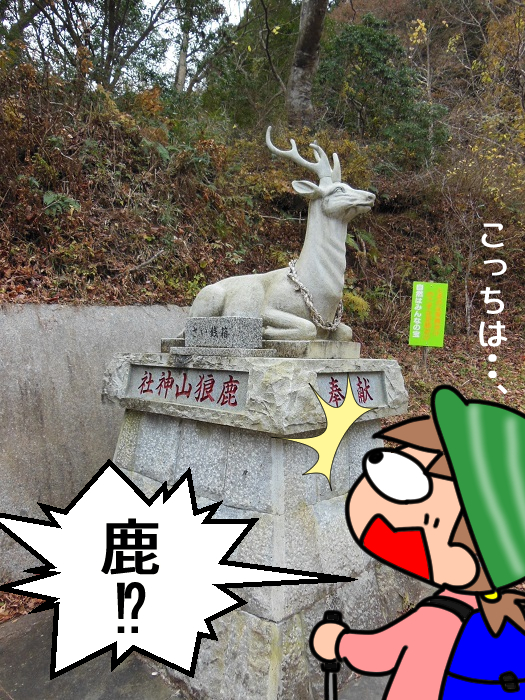 f:id:k9352009:20211209120134j:plain