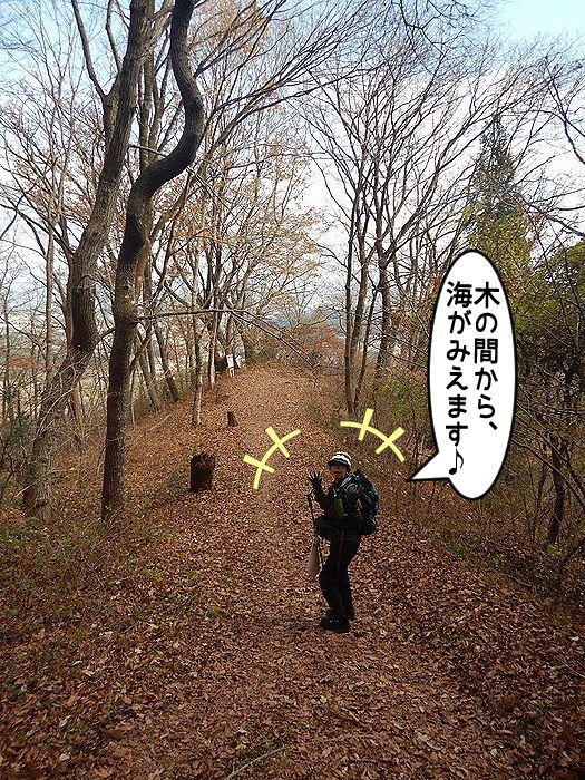 f:id:k9352009:20211210121008j:plain