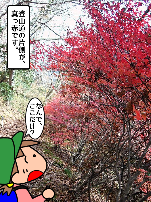 f:id:k9352009:20211210121022j:plain