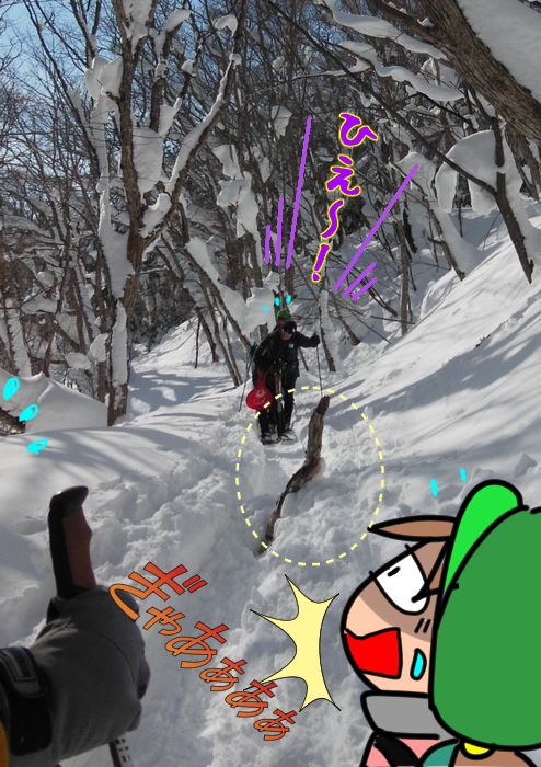 f:id:k9352009:20220128090445j:plain