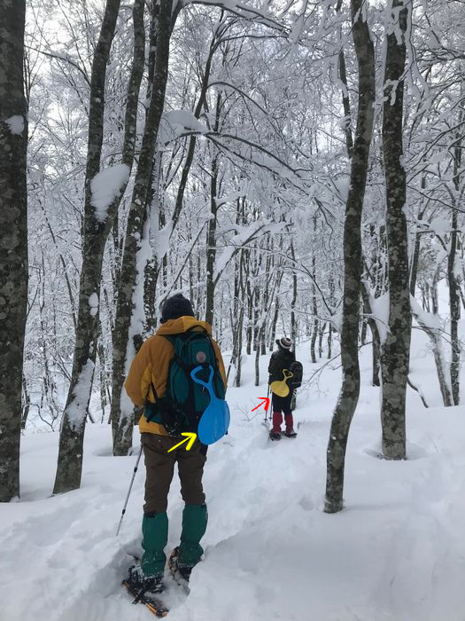 f:id:k9352009:20220128100529j:plain