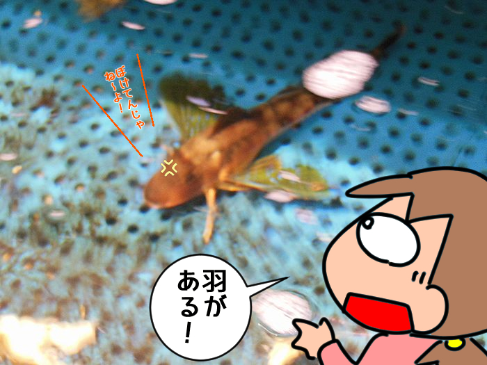 f:id:k9352009:20220208093048j:plain