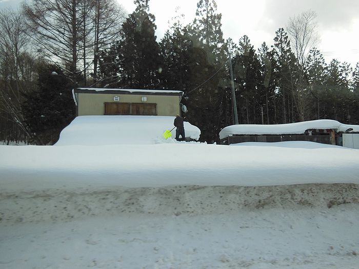 f:id:k9352009:20220228112148j:plain