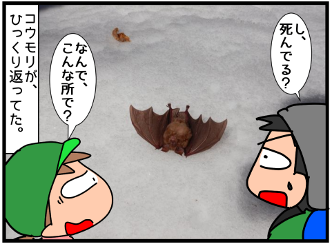 f:id:k9352009:20220315133024p:plain