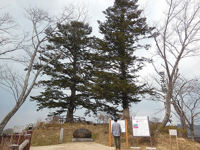 f:id:k9352009:20220324093525j:plain