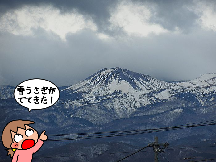 f:id:k9352009:20220328090958j:plain
