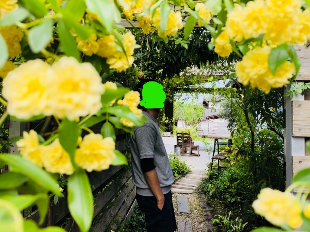 f:id:k9371056:20180412203258j:plain f:id:k9371056:20180412203258j:plain