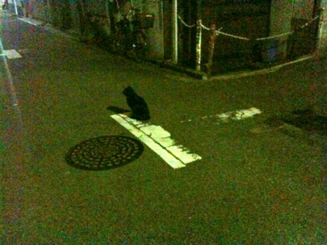 f:id:kAbajyU:20090922125454j:image f:id:kAbajyU:20090922125454j:image