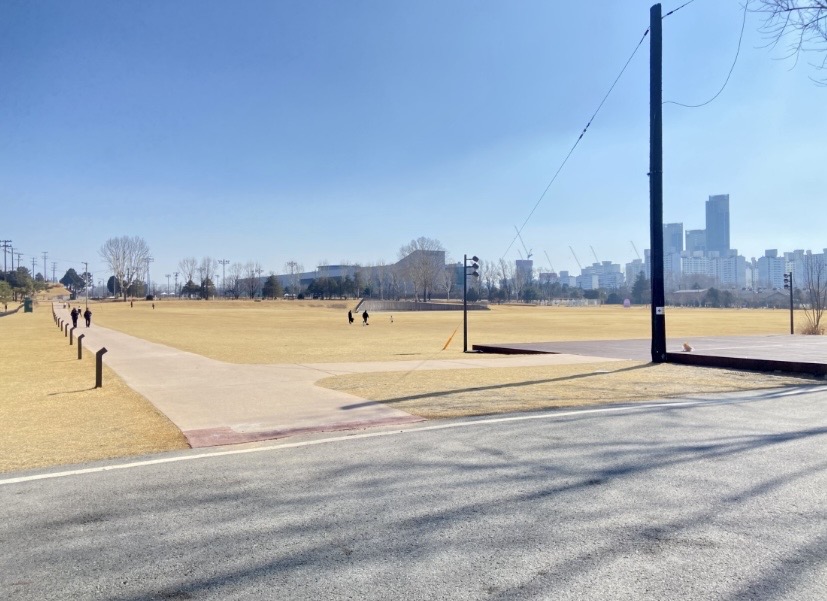 龍山子ども庭園（용산어린이정원）の広大な芝生広場