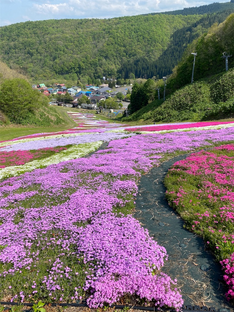 f:id:k____beerrrr:20210518210204j:image