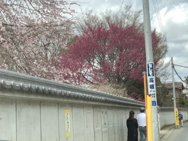 f:id:k_corp_skk:20180406154140j:plain f:id:k_corp_skk:20180406154140j:plain