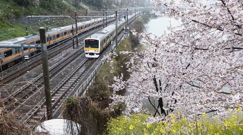 f:id:k_create:20200330145914j:plain f:id:k_create:20200330145914j:plain