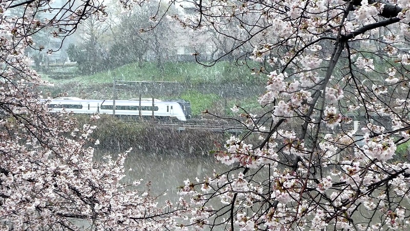 f:id:k_create:20200330145924j:plain f:id:k_create:20200330145924j:plain