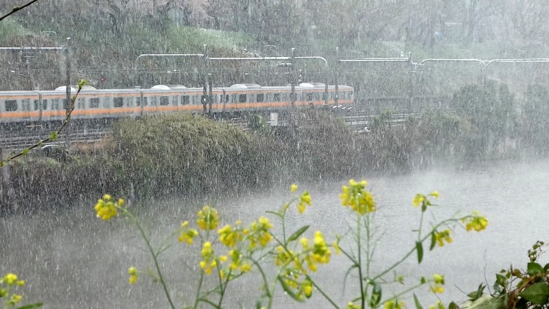 f:id:k_create:20200330145926j:plain f:id:k_create:20200330145926j:plain