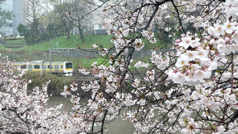 f:id:k_create:20200330145929j:plain f:id:k_create:20200330145929j:plain