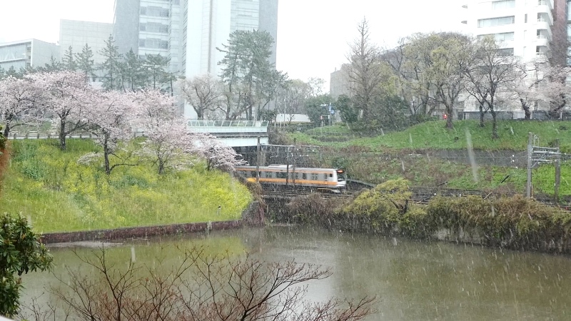 f:id:k_create:20200330145935j:plain f:id:k_create:20200330145935j:plain