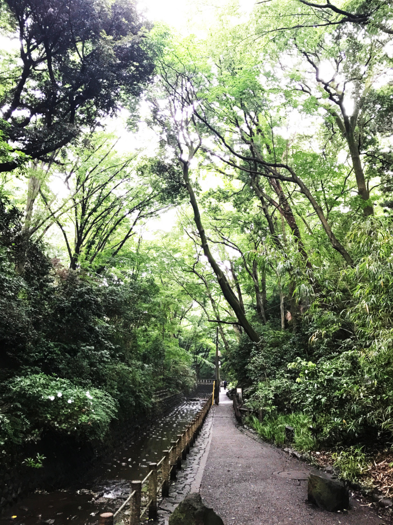 f:id:k_design:20170709104650j:plain f:id:k_design:20170709104650j:plain