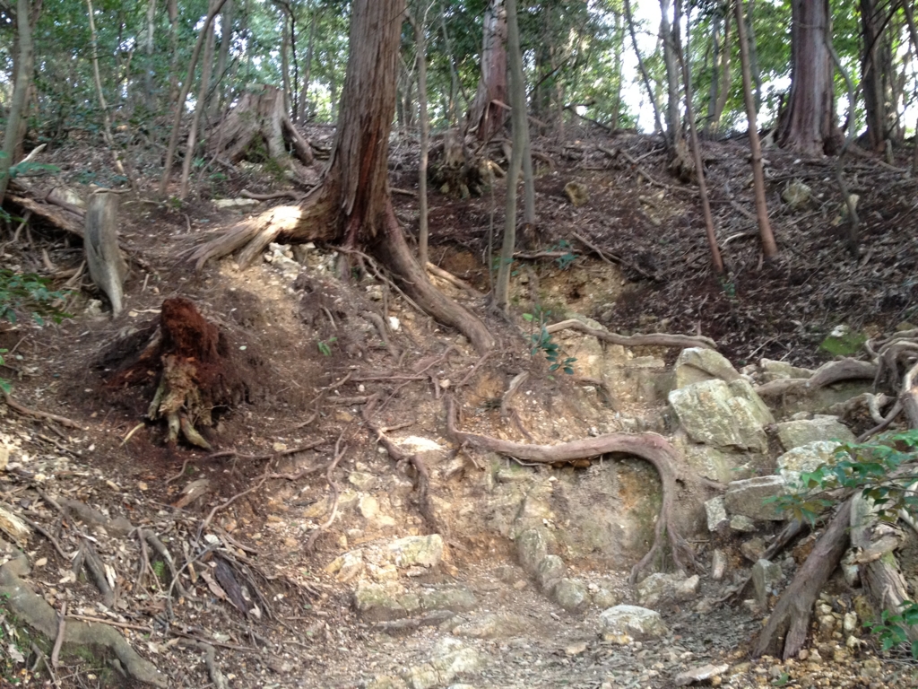 f:id:k_julia:20120402164313j:image