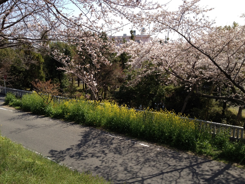 f:id:k_julia:20120408140024j:image