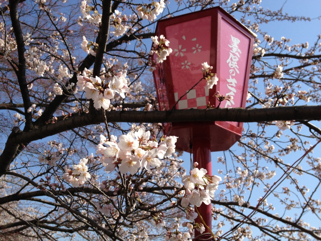 f:id:k_julia:20120408142158j:image