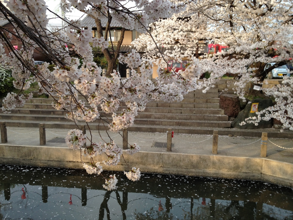 f:id:k_julia:20120410171443j:image