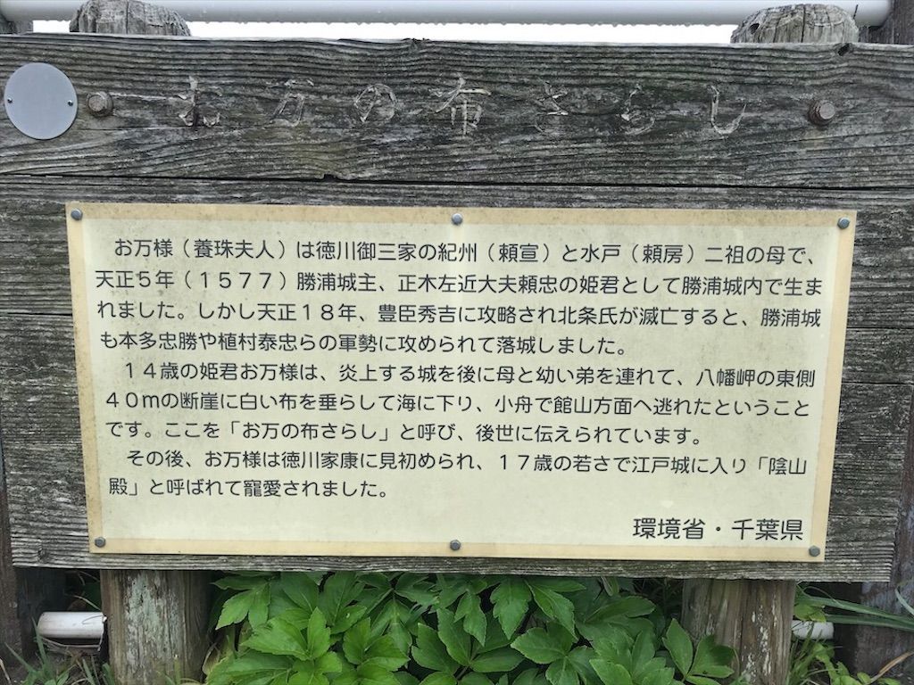 f:id:k_k_azuki:20200723103502j:image
