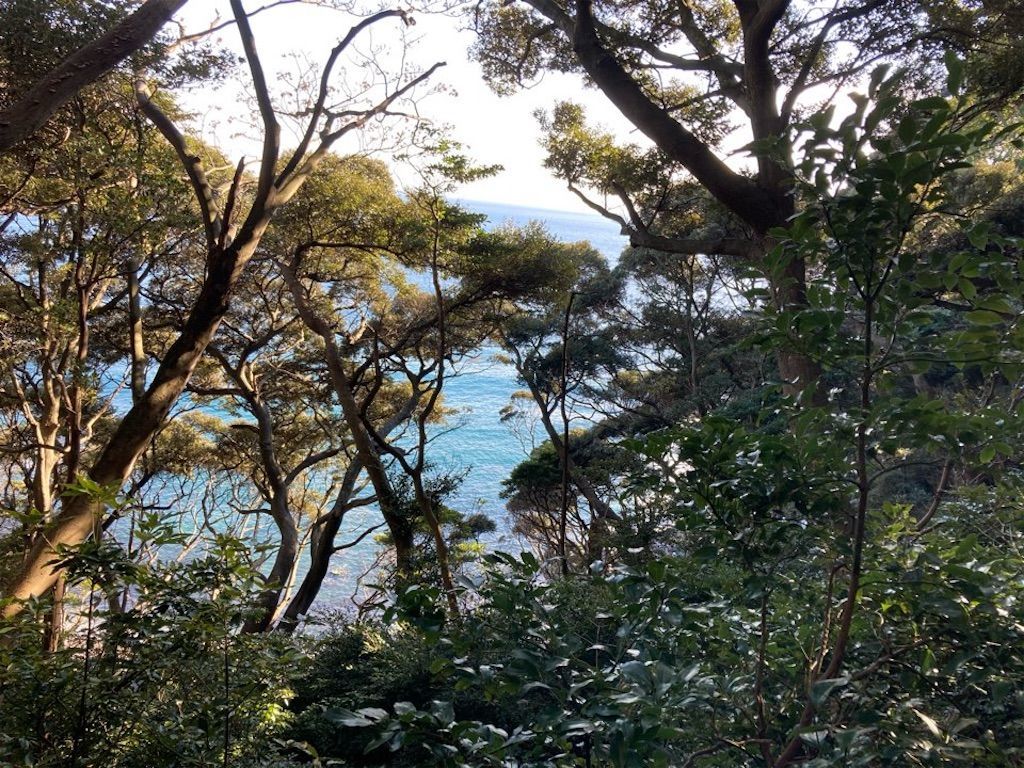 f:id:k_k_azuki:20210119210312j:image f:id:k_k_azuki:20210119210312j:image