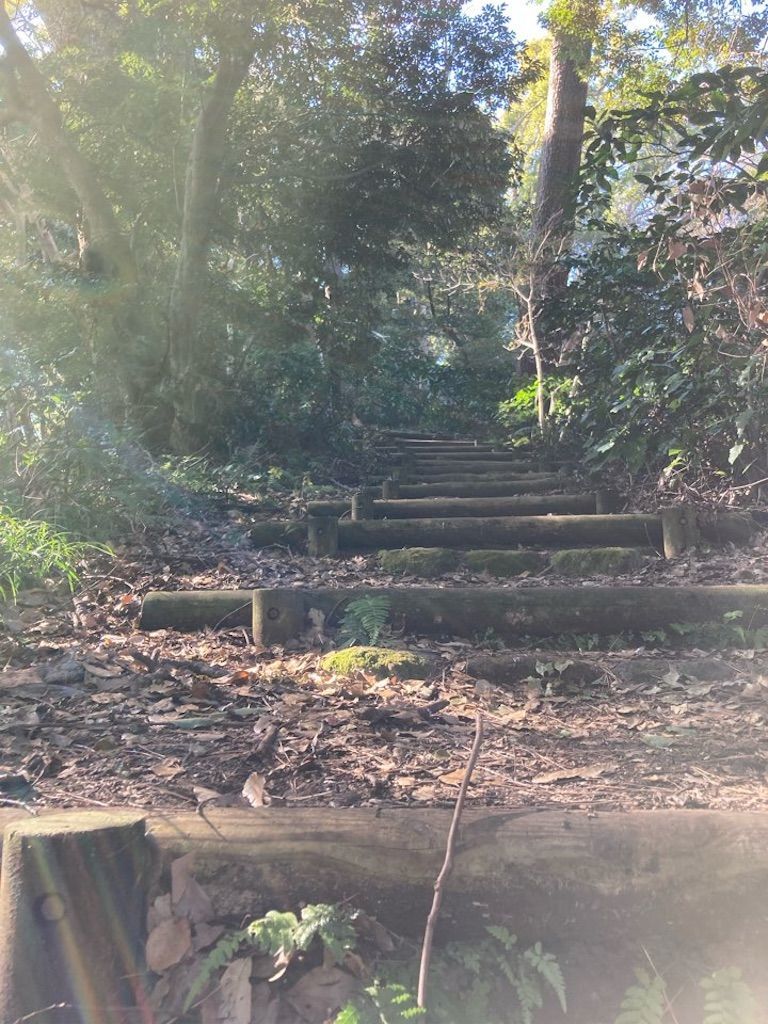 f:id:k_k_azuki:20210119210316j:image f:id:k_k_azuki:20210119210316j:image